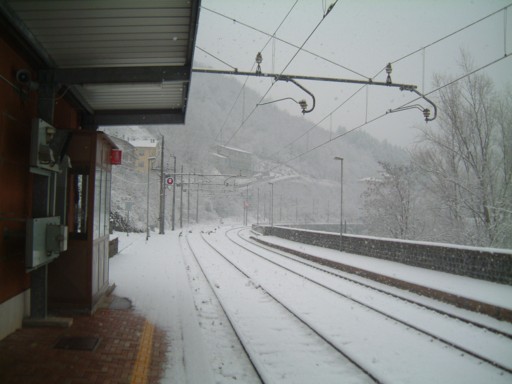  Image name: DSCF5065.JPG 
 width: 512 pixel 
 height: 384 pixel 
 Size: 42280 bytes 
 Click to enlarge 